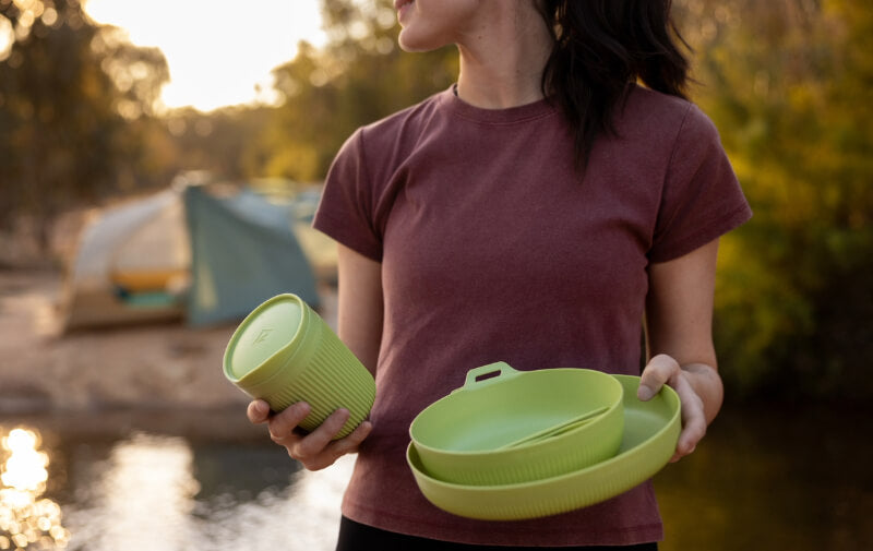 Description || Horizon Plate